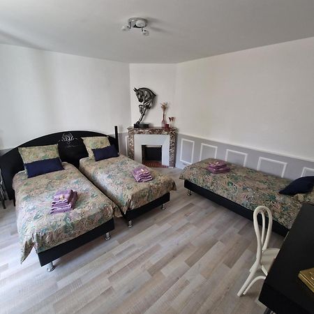 Bleautiful "Alienor" Charmant Appartement Avec Terrasse Fontainebleau Ngoại thất bức ảnh
